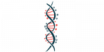 ARU-1801 | Sickle Cell Disease News | MOMENTUM gene therapy trial update | illustration of DNA strand