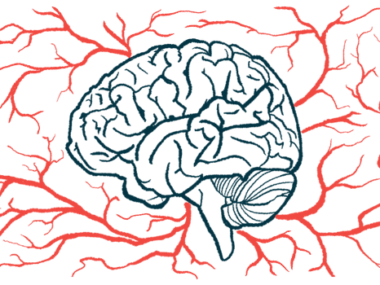 Blood vessels that flow through the brain carry needed oxygen to different brain regions.