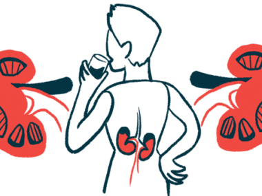 A person drinks a glass of water in this illustration showing enlarged images of the human kidneys.
