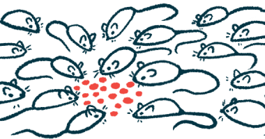 A group of mice converge around a sprinkling of food pellets.