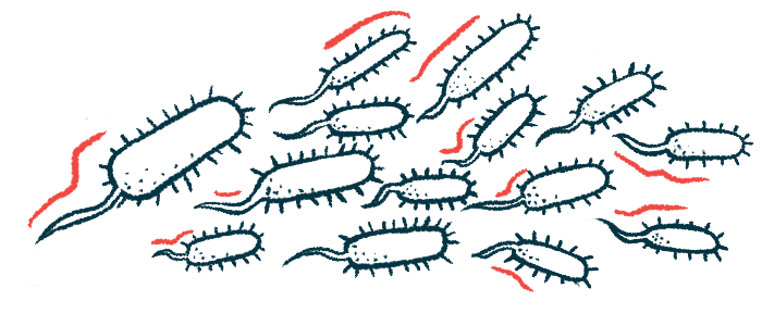 This illustration shows a cluster of bacteria.