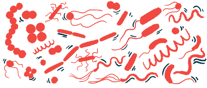 An array of different kinds of bacteria is shown in this graphic.