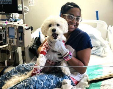 A woman in stylish glasses and wearing gloves holds a cute white dog while sitting in a hospital bed surrounded by medical machines. 